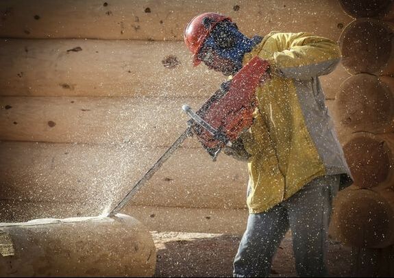 Picture: Saw dust flies as a tree care professional uses a chainsaw on tree trunk.